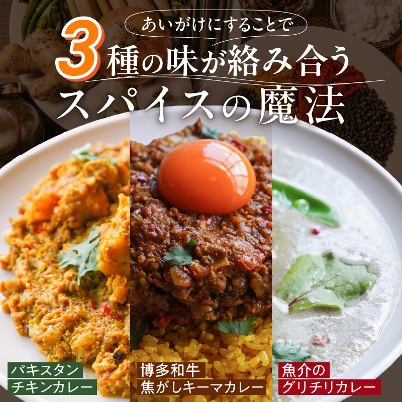 3種のスパイスカレーあいがけセット_ チキンカレー キーマカレー グリーンカレー 各 180g × 2パック 計 6パック スパイスカレー あいがけ セット 食べ比べ 自由 組み合わせ 新しい 味わい カレー 冷凍 お取り寄せ 福岡県 久留米市 送料無料_Ca025
