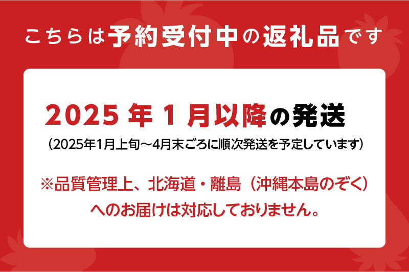 いちご満喫 あまおう2パック&あまおうジャム２瓶のセット 1月から発送_いちご満喫 あまおう2パック&あまおうジャム２瓶のセット 1月から発送_Ca041