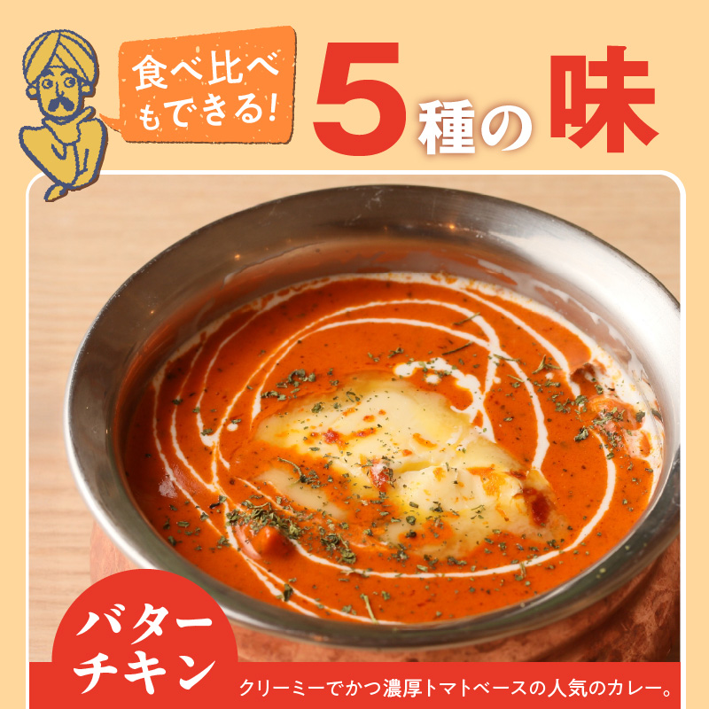 【辛口】ビスヌ 本格カレー 5種_ビスヌ 本格 カレー 5種 バターチキン 豆 海老 チキン キーマ 各 1個 辛口 インドカレー スパイス こだわり インド 直輸入 Aランク できたて 冷凍 真空パック お取り寄せ 福岡県 久留米市 送料無料_Ca046-03 辛口