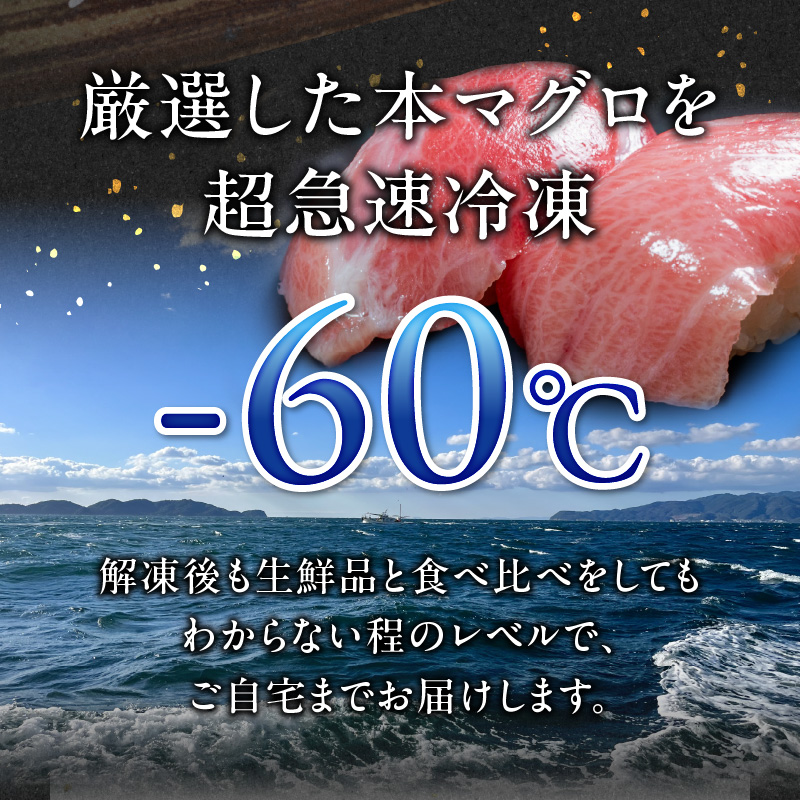 国産本マグロ 食べ比べセット_国産本マグロ 食べ比べ セット 海鮮 海産物 本マグロ 大トロ 中トロ 赤身 真空パック マイナス60℃ 液体冷凍 魚 鮮魚 刺身 柵 海鮮丼 魚介類 マグロ丼 漬け丼 寿司 ヨシマサ 久留米惣吉 福岡県 久留米市 お取り寄せ お取り寄せグルメ 送料無料_Cs336