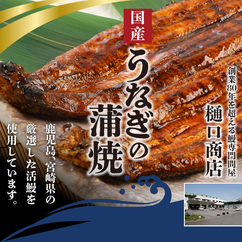 うなぎの蒲焼 2尾セット（特大サイズ 一尾 170g～200g）_うなぎ 蒲焼 2尾 セット 特大サイズ 一尾170g～200g たれ付き 鰻専門問屋 樋口商店 鹿児島 宮崎 国産 ジャポニカ種 真空パック ギフト お取り寄せ グルメ うな丼 うな重 ひつまぶし お土産 手土産 贈り物 プレゼント お中元 職人 送料無料_Cu001