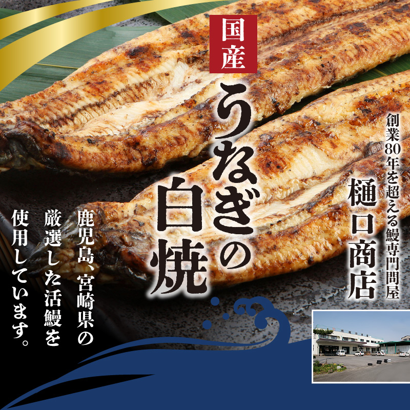 うなぎの白焼 2尾セット（特大サイズ 一尾 170g～200g）_国産 うなぎ 白焼 特大 一尾 170g ～ 200g × 2尾 うなぎ白焼き ひつまぶし 簡単調理 小分け アクセント 柚子胡椒 食品 加工品 魚 魚介類 おかず 惣菜 ご飯のお供 酒の肴 冷凍 パック 樋口商店 福岡県 久留米市 お取り寄せ お取り寄せグルメ 送料無料_Cu002