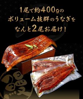 特大うなぎ蒲焼約400g×2尾_特大 うなぎ 蒲焼 無頭 約 400g 2尾 秘伝のタレ グルメ 食品 加工品 魚 魚介類 おかず 惣菜 ご飯のお供 酒の肴 うな丼 ひつまぶし お茶漬け 鰻巻き 冷凍 パック 太輔商事 福岡県 久留米市 お取り寄せ お取り寄せグルメ 送料無料_Cu027