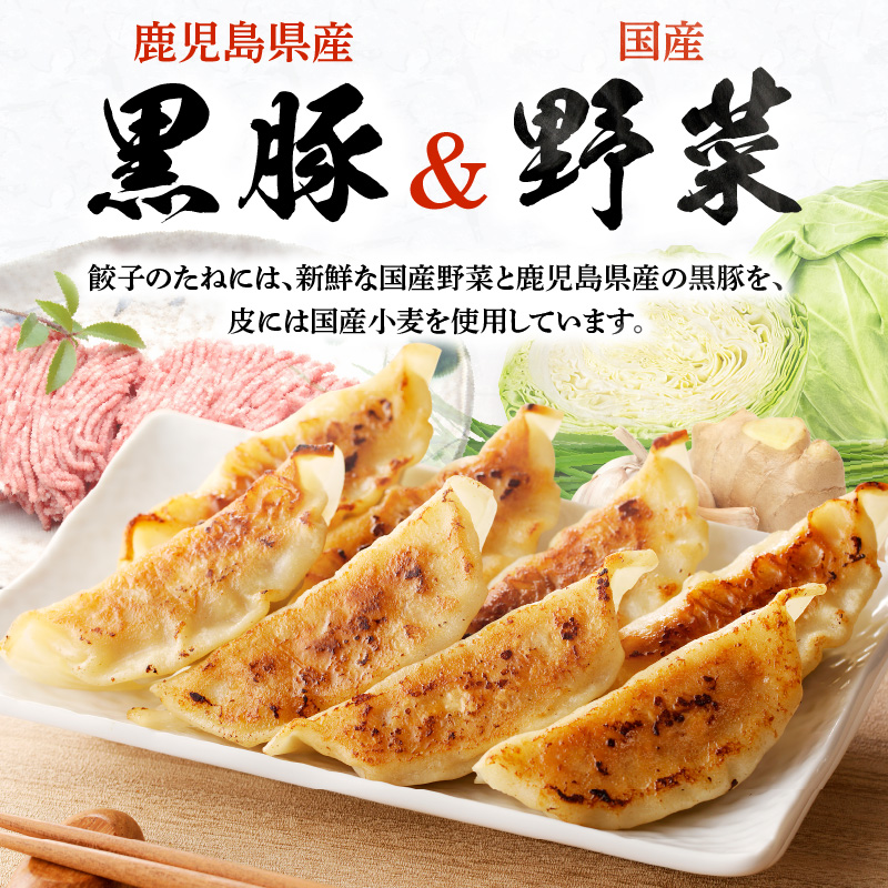 極旨黒豚餃子_極旨黒豚餃子 （23g×20 個）×5 袋 餃子 100個 三桃食品 おべんとうのヒライ 鹿児島県産 黒豚 肉 豚肉 国産 極旨 黒豚餃子 食品 食べ物 おかず おつまみ 水餃子 揚げ餃子 冷凍 簡単調理 カリカリ もっちり 福岡 久留米 お取り寄せ お取り寄せグルメ 送料無料_Cx221