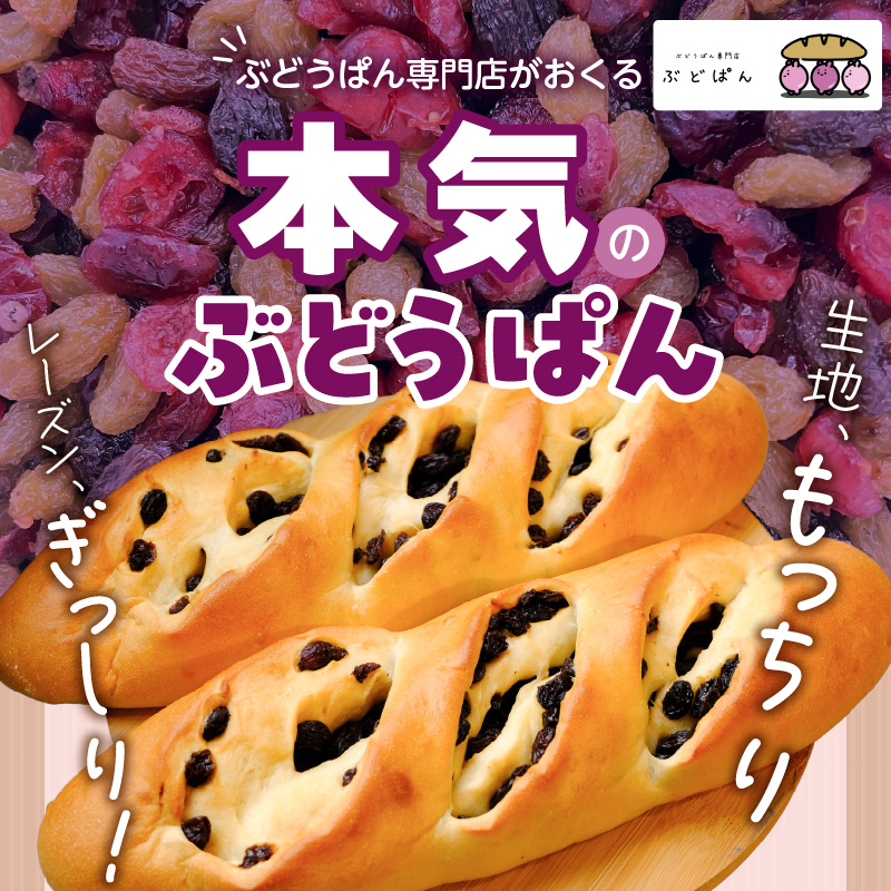 ぶどうぱん食べ比べセット（3本） _ ぶどうぱん 専門店 ぶどぱん 食べ比べ 3本 ぶどぱんのぶどうぱん サンマスカット 全粒粉のくるみとレーズン レーズンしっとり もっちり 食パン生地 トースト 冷凍保存 お取り寄せ 福岡県 久留米市 送料無料 _Cx242-03 食べ比べセット（3本）