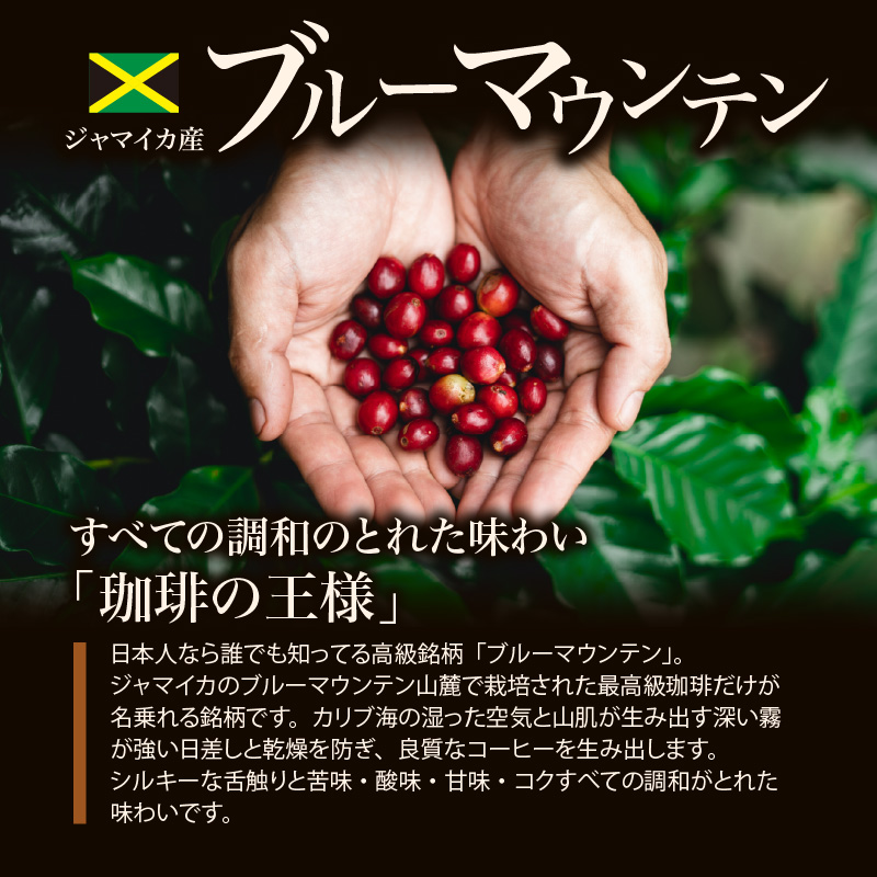ブルーマウンテン100g＆ハワイコナコーヒー100g 定期便3ヶ月コース　粉コース_定期便 3ヶ月 コーヒー 粉 各 100g 2種 3回 計 600g ブルーマウンテン ハワイコナコーヒー 珈琲の王様 シルキーな舌触り 苦味 酸味 甘味 コク 調和がとれた味わい スッキリ 雑味の少ない フルーツ酸 特徴 酸味の女王 お取り寄せ 送料無料_Ec109-P