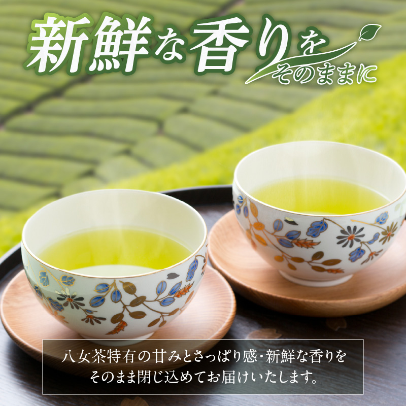 福岡の八女茶煎茶ペットボトル500ml×24本_福岡の八女茶煎茶 ペットボトル 500ml × 24本 緑茶 茶栽培農家 八女茶 甘み さっぱり 新鮮 香り 日本茶 まとめ買い 1ケース 水分補給 お茶 ソフトドリング 飲料 飲み物 備蓄 お取り寄せ 久留米市 送料無料_Ex203