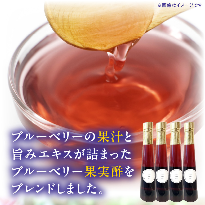 飲むブルーベリー酢　2本_お酢 ドリンク ブルーベリー 300ml 2本 飲むお酢 ブルーベリー酢 甘くて飲みやすい 希釈 3倍～5倍 果汁 アントシアニン 疲れ目予防 腸内環境改善 簡単 アレンジ 牛乳 炭酸 お酒 瓶 果実酒 お酢飲料 飲料 飲み物 健康 福岡県 久留米市 お取り寄せ 送料無料_Ex218