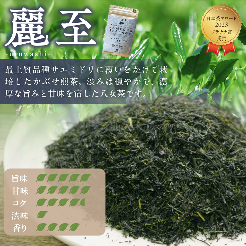 原田茶園　　極上煎茶ティーバッグ　麗至64g　(4g×8)×2袋_農林水産大臣賞受賞 極上煎茶 ティーバッグ 麗至 32g × 2袋 計64g 八女茶 濃厚 旨み 甘味 まろやか コク こだわり カテキン 抗酸化作用 リラックス効果 疲労回復効果 お茶 煎茶 日本茶 緑茶 茶 お取り寄せ ご当地茶 福岡県 久留米市 送料無料_Ex223