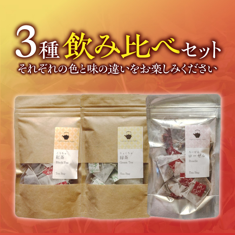 三色のお茶飲み比べ　ティーバッグ _ 三色 お茶 飲み比べ ティーバッグ ブラックティー紅茶 グリーンティー緑茶 レッドティーハイビスカスローゼルティー 各 10パック 国産 栽培期間中 農薬不使用 こだわり 栽培 茶葉 淹れ方 水出し 急須 オフィス お取り寄せ 福岡県 久留米市 送料無料 _Ex234