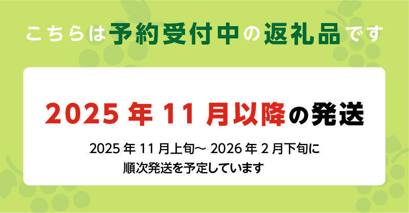 【2025年11月よりお届け】冬にお届け！シャインマスカット×2房_冬にお届け！ シャインマスカット 400g以上 × 2房 冷蔵技術 冬でも美味しい 皮ごと食べる 贈答用 おすすめ 国産 ぶどう マスカット 果物 フルーツ 果実 食品 食べ物 おやつ デザート グルメ お取り寄せ お取り寄せグルメ 福岡県 久留米市 送料無料_Fg011