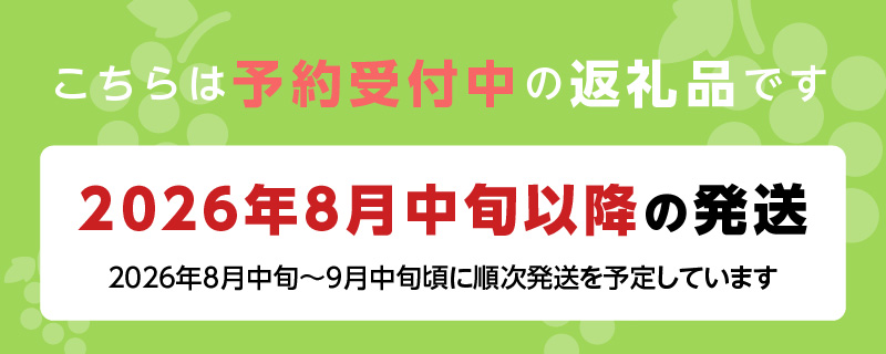 【2026年8月より順次発送】シャインマスカット（1房：500g以上)_シャインマスカット 1房 500g以上 九州 温暖 気候 活かす 農家 こだわり ご家庭用 先行受付 皮ごと食べられる 上品 甘さ フルーツ 果実 果物 ぶどう マスカット デザート おやつ お取り寄せ 福岡県 久留米市 送料無料_Fg012