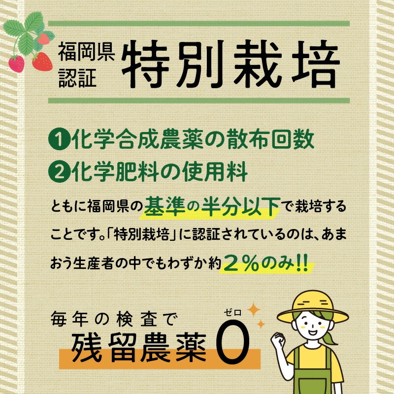 特別栽培あまおう 4パック ふくおかエコ農産物_いちご あまおう 約 270g ～ 300g 4パック 大粒 濃厚 甘い 特別栽培 安心 安全 冷蔵 果物 フルーツ ストロベリー アフター保証 スイーツ ケーキ スムージー ジャム デザート 福岡県産 福岡限定 ふくおかエコ農産物 国産 お取り寄せ 福岡県 久留米市 送料無料_Fi003