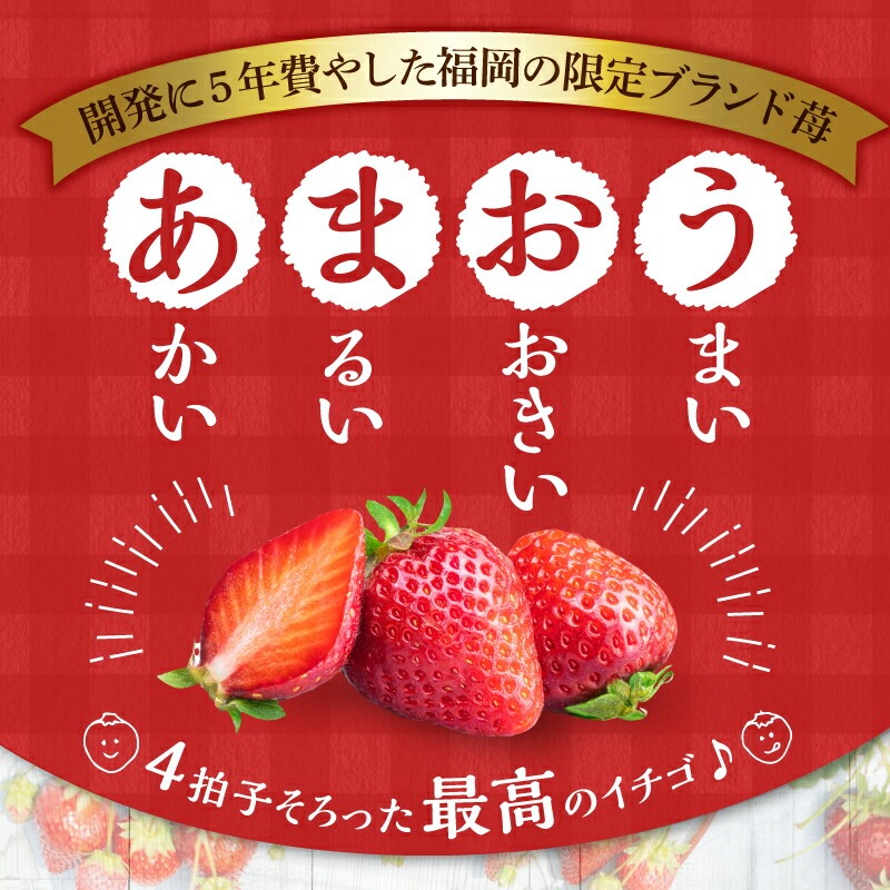 うるう農園のあまおうサイズ色々 4パック（1140g）_サイズ色々 特別栽培認証 あまおう 苺 4パック 計 1140g うるう農園 安心 安全 Mサイズ 特大 グランデサイズ 福岡限定 ブランド苺 フルーツ 果物 ジャム ムース スイーツ 採れたて 農家直送 クール便 国産 お取り寄せ 福岡県 久留米市 送料無料_Fi009