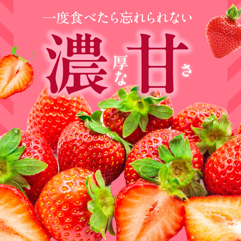 【2026年2月より順次発送】丸茂農園の福岡県産あまおう_丸茂農園の福岡県産あまおう いちご スイーツ 果物 デザート フルーツ 食べ方いろいろ ヨーグルト アイス ジャム 甘み 旬 酸味 濃厚 赤い 丸い 大きい うまい 肉厚 いちごの王様 お取り寄せ お取り寄せスイーツ 福岡県 久留米市 広川町 送料無料_Fi037