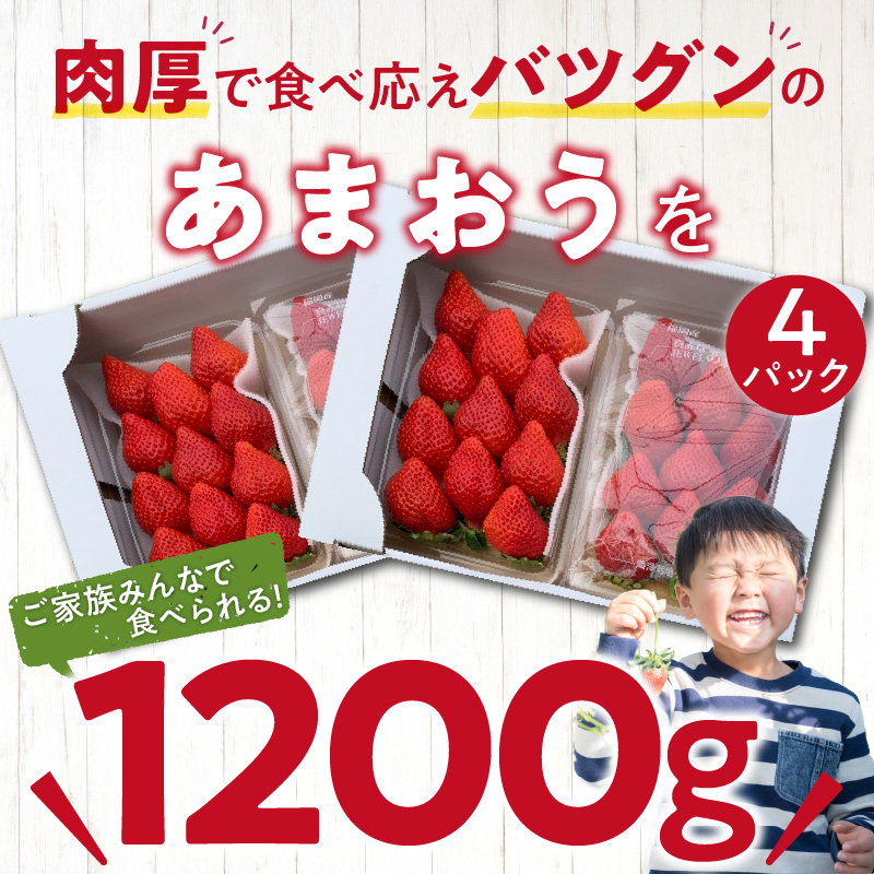【2026年2月より順次発送】丸徳農園の福岡県産あまおう_丸徳農園 福岡県産 あまおう 300g × 4パック いちご いちごの王様 甘い 酸味 バランス 冷蔵 肉厚 大きい うまい おやつ デザート 果物 フルーツ 大人気 九州産 国産 食べ物 お取り寄せ 福岡県 久留米市 送料無料_Fi038