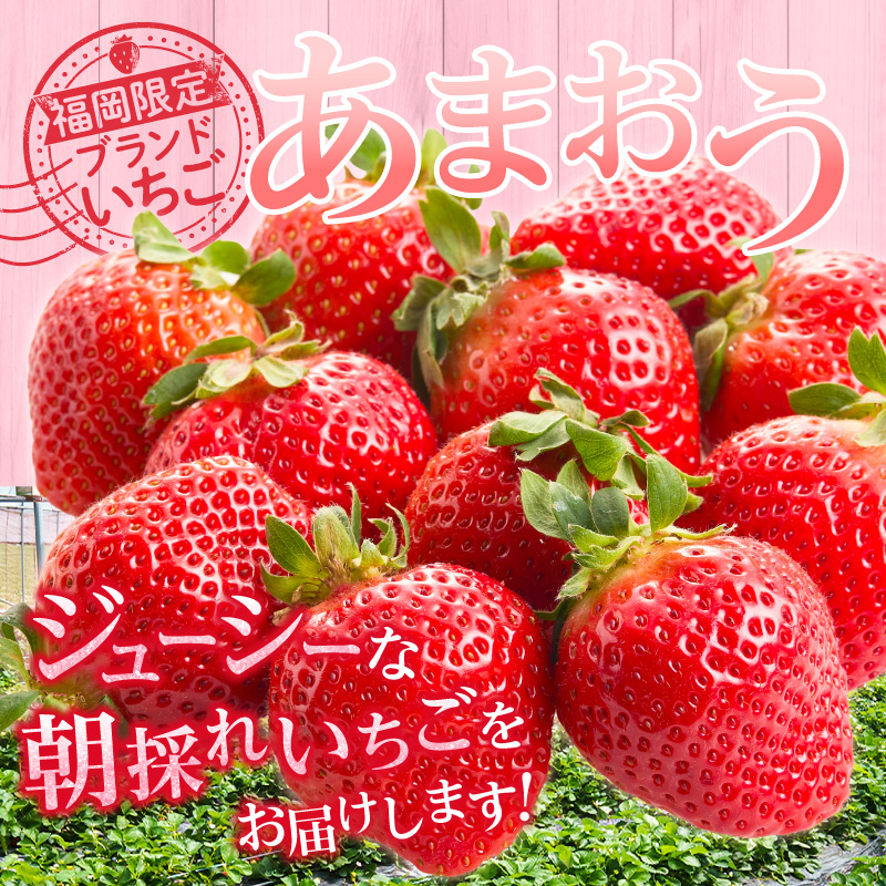 福岡県産【特別栽培】特選DX等級完熟あまおう　270g×2パック_福岡県産 特別栽培 特選 DX等級 完熟 あまおう 270g × 2パック 計 540g 自然の恵み 濃厚 大粒 ジューシー 朝採れ いちご 宙づり ハンモック構造 贈答用 フルーツ デザート お取り寄せ 福岡県 久留米市 送料無料_Fi057
