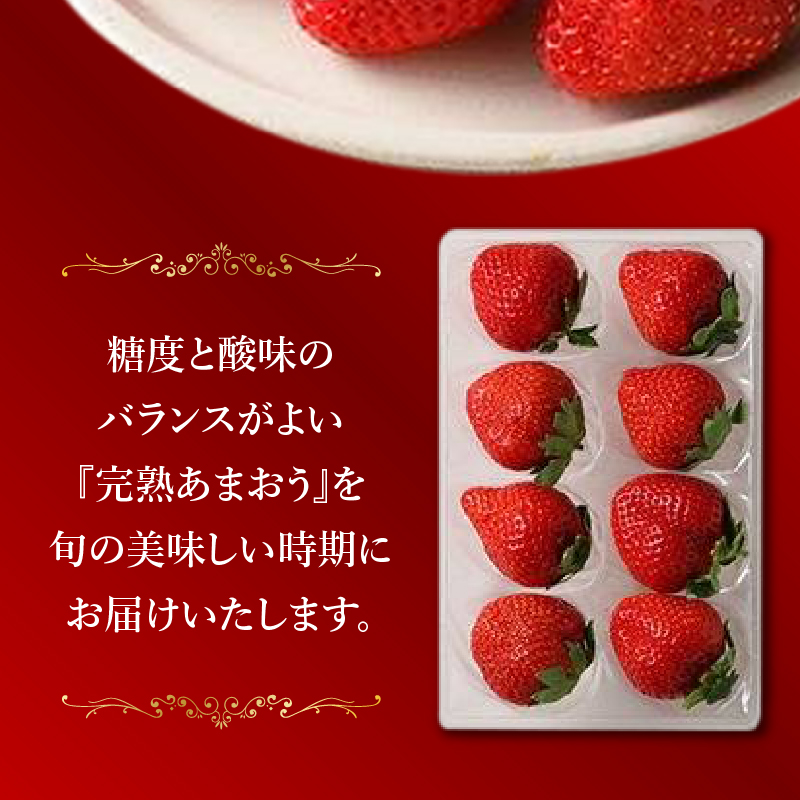 池田農園の特別栽培完熟あまおう　250g×4パック_池田農園 特別栽培 完熟 あまおう 250g×4パック 糖度 酸味 安心安全 栄養価が高い 福岡エコ農産物 いちご 果物 フルーツ スイーツ いちご煮 いちごジャム スムージー おやつ ストロベリー ゆりかーご お取り寄せ 贈り物 福岡県 久留米市 送料無料_Fi064