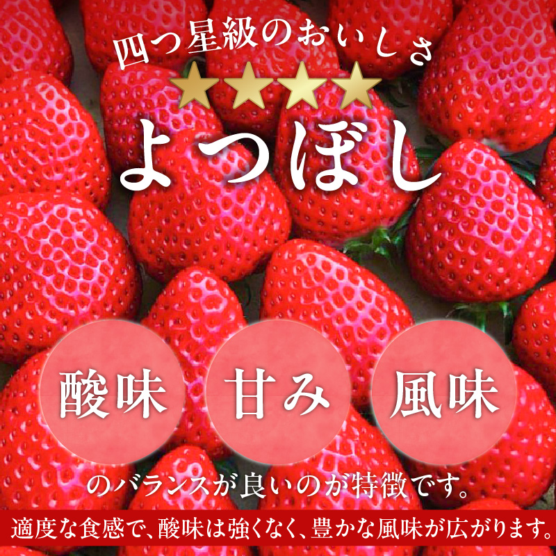 福岡県エコ農産物認定　堀農園のよつぼし400g_エコ農産物認定 堀農園 よつぼし 200g × 2パック 計 400g 完熟 食べ頃 いちご チルド便 適度 食感 酸味 強くない 豊か 風味 広がる バランス 四つ星級 お取り寄せ 福岡県 久留米市 送料無料_Fi073