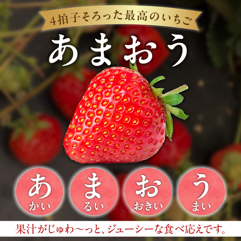 福岡県エコ農産物認定　堀農園のあまおう＆よつぼし食べ比べセット400ｇ(200g×2パック)_エコ農産物認定 堀農園 あまおう よつぼし 各 200g × 1パック 計 400g 食べ比べ セット 完熟 食べ頃 いちご チルド便 大粒 甘み 程よい 酸味 バランス 絶妙 果汁 ジューシー 四つ星級 お取り寄せ 福岡県 久留米市 送料無料_Fi075