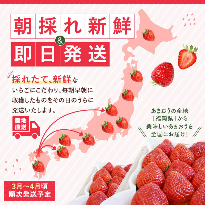 福岡県産あまおういちご　280g～300g×4パック（中粒）【3月～4月発送】 _ いちご あまおう 中粒 4パック 宇佐川農園 果物 フルーツ みずみずしい ジューシー 甘味 酸味 濃厚 ストロベリー パフェ ショートケーキ パンケーキ スムージー サンドイッチ ジャム 福岡県産 久留米市 お取り寄せ 送料無料 _Fi077-03 中粒：280g～300g×4パック