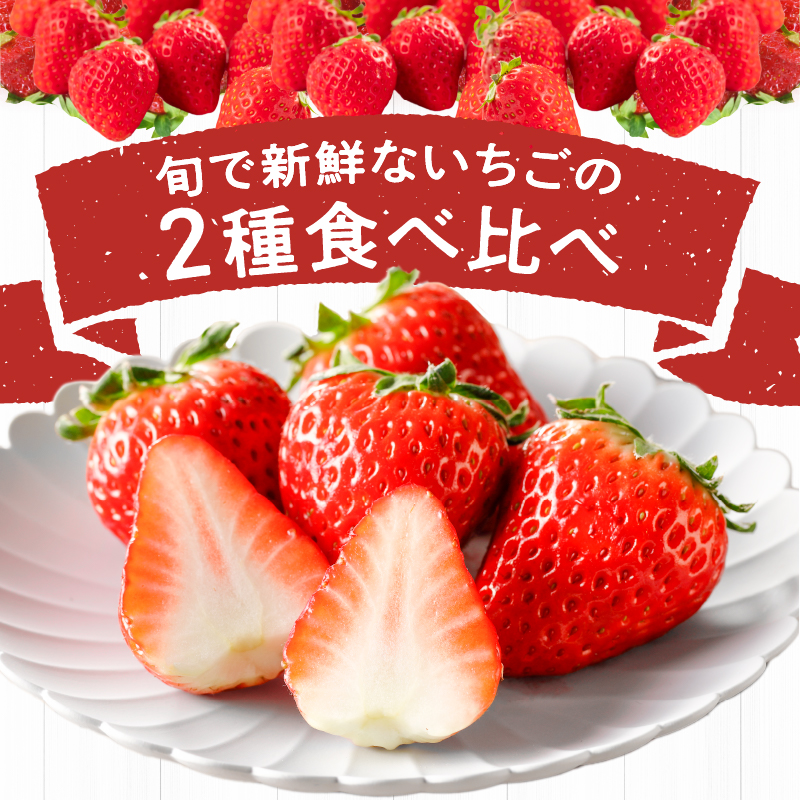 特別栽培 旬のいちご詰め合わせ（ふくおかエコ農産物）約600g_特別栽培 旬 いちご 2種 詰め合わせ 食べ比べ セット 約 500g 冷蔵 ふくおかエコ農産物 新鮮 福岡県産 あまおう 恋みのり かおりの 紅ほっぺ よつぼし すず あまえくぼ ギフトボックス 贈答用 ゆりかーご フルーツ 果物 お取り寄せ 福岡県 久留米市 送料無料_Fi110