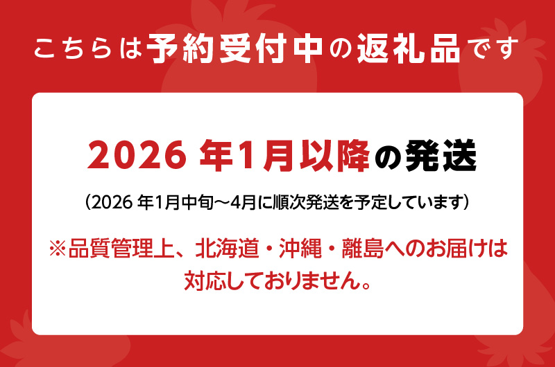 【2026年1月中旬より順次発送】福岡県産 羽衣農園の完熟あまおう 約1kg（約250g×4パック） _【先行予約】 【2026年1月中旬より順次発送】 福岡県産 完熟 あまおう 約250g × 4パック 計 約1kg こだわり いちご 福岡県 ブランド いちご 家族 シェア フルーツ 果物 果実 パンケーキ フルーツサンド お取り寄せフルーツ 福岡県 久留米市 送料無料_Fi214
