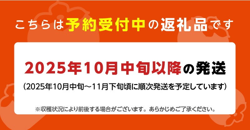 秋王3kg箱_柿 秋王 内容量 3kg 箱 冷蔵 甘柿 新品種 糖度 約17度 高糖度 種少ない 食感 栄養 オリジナル ブランド甘柿 デザート スーパーフルーツ 果物 お取り寄せ 食品 食べ物 国産 フルーツ 福岡県 久留米市 送料無料_Fk110 3kg