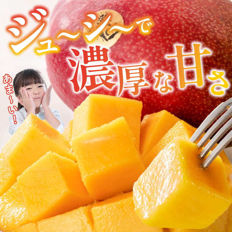 【2026年6月以降お届け】極　完熟マンゴー（2玉：約1.1kg）_完熟マンゴー 2玉 約 1.1kg 久留米産 平均糖度 17度～18度 完熟 マンゴー 国産 フルーツ トロピカルフルーツ 果物 デザート 冷蔵 クール便 お取り寄せ お取り寄せフルーツ 福岡県 久留米市 送料無料_Fm018