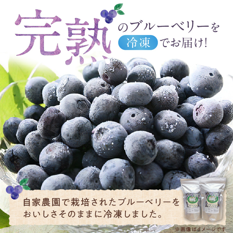 冷凍ブルーベリー 1kg_冷凍 ブルーベリー １kg 完熟 自家農園 ミキサー アイス ヨーグルト シャーベット スムージー アントシアニン 疲れ目 腸内環境 国産 ジャム レシピ 冷凍フルーツ 果物 フルーツ お取り寄せ くだものお取り寄せ 福岡県 久留米市 送料無料_Fx005