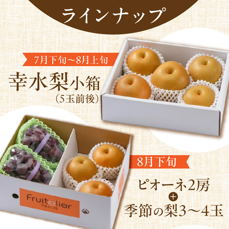 【年間7回配達】【フルトリエ】100年続くフルーツ農家の定期便_定期便 7回 贈答用 フルーツ セット 詰め合せ 幸水梨 ピオーネ シャインマスカット フルーツビネガー いちごジャム 梨のコンポート あまおう いちご 食べ比べ ギフト 果物 朝採れ 冷蔵 送料無料 100年続くフルーツ農家 フルトリエ 中村果樹園_Fx012