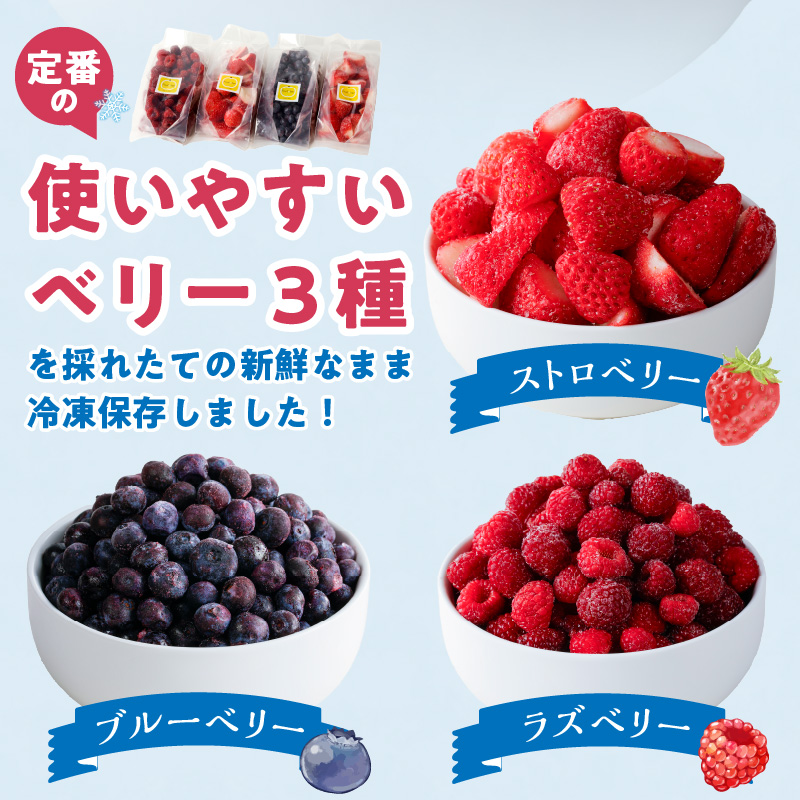 冷凍ベリー3種詰合せ（ストロベリー500g・ラズベリー250g・ブルーベリー250g）_冷凍 ベリー 3種 詰め合わせ ストロベリー 500g ラズベリー ブルーベリー 各250g 新鮮 ジャム お菓子作り おすすめ 使い方 いろいろ 果物 フルーツ 果実 食品 デザート グルメ お取り寄せ お取り寄せグルメ 福岡県 久留米市 送料無料_Fx017