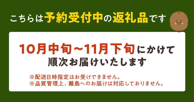 甘うぃ1.5kg箱_甘い キウイ 甘うぃ キウイフルーツ 1.5kg 国産 甘みの強い 果実 黄色味 福岡 オリジナル品種 濃厚 まろやか 高糖度 フルーツ 果物 ヨーグルト スムージー ジュース デザート 福岡県 久留米市 お取り寄せ お取り寄せフルーツ 送料無料_Fx019