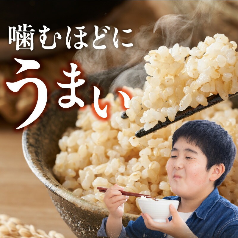 【令和7年産 新米】福岡県産ブランド米元気つくし 玄米 10kg_元気つくし 玄米 内容量 10kg 福岡県産 ブランド米 鮮度抜群 新鮮 福岡生まれ 品種 香り豊か ふっくら 食感 ご飯 おにぎり 弁当 お米 食品 お取り寄せ 九州 久留米産 福岡県 久留米市 送料無料_Gr068 10kg
