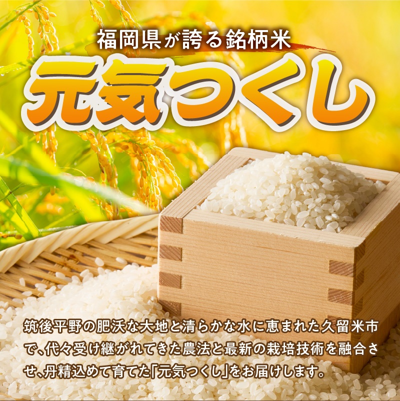 2025年新米 羽衣農園 元気つくし 白米 10kg（5kg×2） _ 2025年 新米 5kg × 2袋 計 10kg 福岡県産 精米 ブランド米 銘柄米 つやつや モチモチ 程よい粘り 冷めても美味しい ご飯 白ご飯 おにぎり 弁当 お米 食品 お取り寄せ 福岡県 久留米市 送料無料 _Gr075