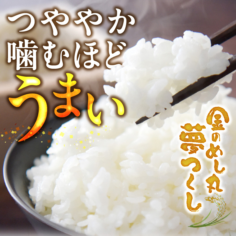 金のめし丸夢つくし　36194　3kg（1袋）　令和7年産 _ 3kg × 1袋 国産 米 福岡県産米 白米 精米 お米 夢つくし オリジナル米 金のめし丸 おいしい ツヤツヤ もちもち ほのかな甘み ご飯 おにぎり 食品 ライス 常温 九州 福岡県 久留米市 お取り寄せ 送料無料 _Gr077