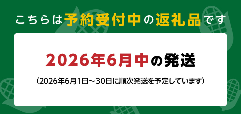 【2026年6月より順次発送】とうもろこし【ドルチェドリーム、ホワイトショコラ、プレミアム味来】ランダム2種詰合せ3.5Kgセット_とうもろこし 2種 詰合せ 計 3.5kg ドルチェドリーム ホワイトショコラ プレミアム味来 ランダムで2種 生で食べられる ジューシー 甘い  白いとうもうこし お取り寄せ お取り寄せグルメ 冷蔵 久留米市 福岡県 送料無料_Gv028