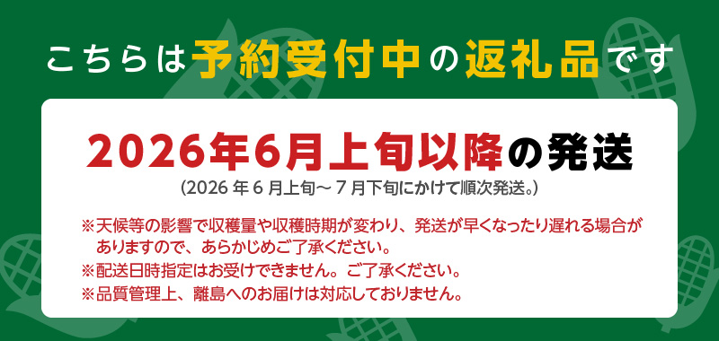 【ふくおかエコ農産物認証】農家直送！SDGs米糠堆肥で作った博多あまっコーン4.5キロ以上（10～15本）【2026年6月より順次出荷】_ふくおかエコ農産物 2026年6月より順次出荷 とうもろこし 博多あまっコーン 約 4.5kg 以上 10本 〜 15本 プレミアムコーン 粒が大きい 食べ応え 美味しい 糖度 野菜 お取り寄せ 福岡県 久留米市 送料無料_Gv035