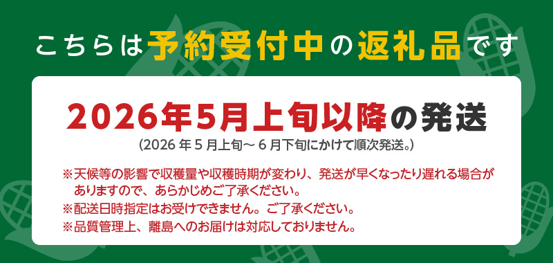 【ふくおかエコ農産物認証】農家直送！SDGs米糠堆肥で作ったベビーコーン50本【2026年5月より順次出荷】_ふくおかエコ農産物 2026年5月より順次出荷 農家直送 ベビーコーン とうもろこし 50本 メロンより 甘い プレミアムコーン シャキシャキ 食感 旬の味 八宝菜 サラダ 野菜 オーブン焼き レンチン お取り寄せ 酒見農産 福岡県 久留米市 送料無料_Gv036