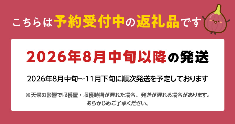 SDGs米糠循環農法で育てた樹上完熟イチジク秀品700g以上（サイズ混合12個）潰れにくいイチジク専用容器入り【産地直送2026年8月より順次出荷】_イチジク秀品700ｇ以上 （サイズ混合12個） SDGs 米糠循環農法 樹上完熟 桝井ドーフィン イチジクケーキ ジャム ジェラート ジュース ドライフルーツ 潰れにくい イチジク専用容器 入り 宙吊り包装 ギフト 福岡 久留米 送料無料_Gv040
