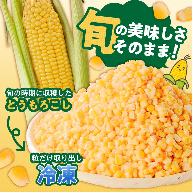 旬のとうもろこしの甘味をそのままに！博多あまっコーンの冷凍粒コーン1.5キロ _ 博多あまっコーン 粒コーン 500g × 3袋 冷凍 とうもろこし 粒 国産 メロンより甘い プレミアムコーン ふくおかエコ農産物 歯ごたえ フルーツのような甘さ アレンジ パン ピザ トッピング 料理 スイーツ 野菜 酒見農産 お取り寄せ 福岡県 久留米市 送料無料 _Gv049