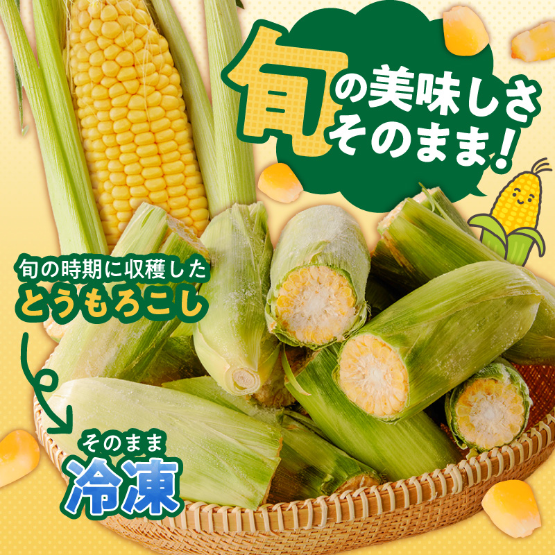 冷凍便！旬の時期に冷凍したSDGs米堆肥で作った博多あまっコーンカット品 4.5キロ以上（12～20本） _ 博多あまっコーン カット 4.5キロ以上 12 ～ 20本 カット品 とうもろこし 国産 冷凍 メロンより甘い プレミアムコーン ふくおかエコ農産物 コーン フルーツのような甘さ 野菜 酒見農産 お取り寄せ 福岡県 久留米市 送料無料 _Gv051