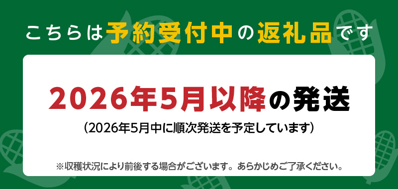 【2026年5月お届け】福岡県産 朝採れヤングコーン 50本 _ 2026年5月お届け 福岡県産 収穫 当日 新鮮 ヤングコーン ベビーコーン クール便 産地直送 美味しさ 宇佐川農園 こだわり 鮮度 朝採れ 濃い甘さ 生 シャキシャキ 甘み 福岡県 久留米市 送料無料 _ Gv052