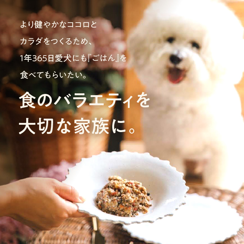 1cofood　手作りドッグフード　5種全部セット　1.香り豊かな牛ごはん　2.サーモンとタラのうまみごはん　3.鹿ごはん　4.猪ごはん　5.鶏ごはん_ドッグフード 手作り 5種 セット 400g × 5袋 1cofood ジップ付き ウェットタイプ 牛肉 サーモン 低脂肪 高タンパク 鹿肉 猪肉 鶏肉 国産野菜 米 フルーツ 生酵素 海藻 コイン型 ペット 冷凍 福岡県 久留米市 送料無料_Pf035 １回お届け