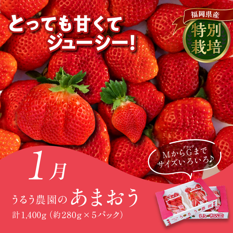 【定期便4回】久留米人気ぐるめ食べ比べ定期便（隔月お届け）_定期便 4回 人気 ぐるめ 食べ比べ 隔月お届け あまおう いちご 5パック ハンバーグ スタミナソース 各5個 自家製煮魚 4切 このみ桜 馬刺し 赤身上 150g × 2 肉 魚 フルーツ お手軽 加工食品 セット 福岡県 久留米市 お取り寄せ お取り寄せグルメ 送料無料_Tk010