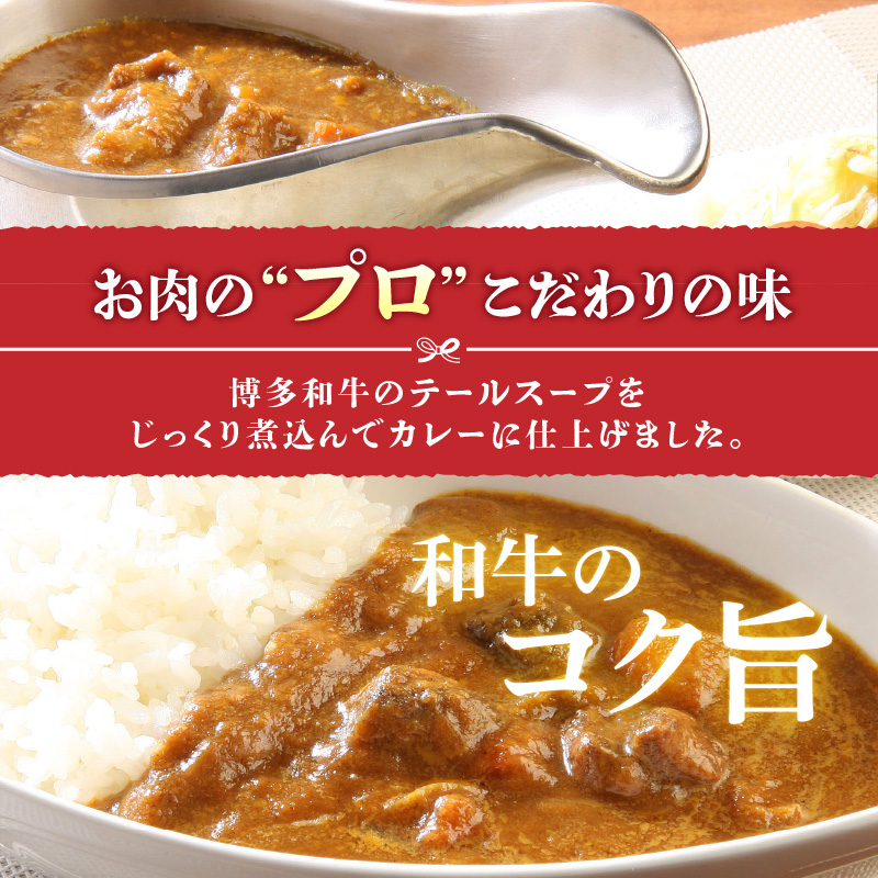 【定期便】毎月届く！博多和牛 カレールー（3回コース）_【定期便】 3回 博多和牛 カレールー 200g × 8パック × 3ヶ月 計 4.8kg テール スープ じっくり煮込んだ スパイシー カレー コク 国産 和牛 国産牛 牛肉 レトルト 食品 加工食品 冷凍 お取り寄せ 福岡県 久留米市 送料無料_Tk018