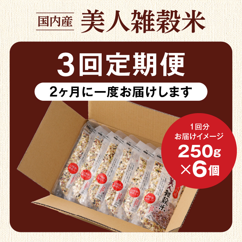 【隔月3回　定期便】国内産 美人雑穀米 250g×6個 1500g×3回_雑穀米 国内産 250g × 6個 お届け回数 3回 美人雑穀米 雑穀 12種 ブレンド 混ぜて炊くだけ 冷めても美味しい 胚芽押麦 もち玄米 発芽 玄米 もち黒米 ハト麦 もち麦 もちきび 黒大豆 もちあわ 簡単 主食 おにぎり 弁当 ふっくら もちもち_Tk027 定期便：（2ヶ月に一度）×3回