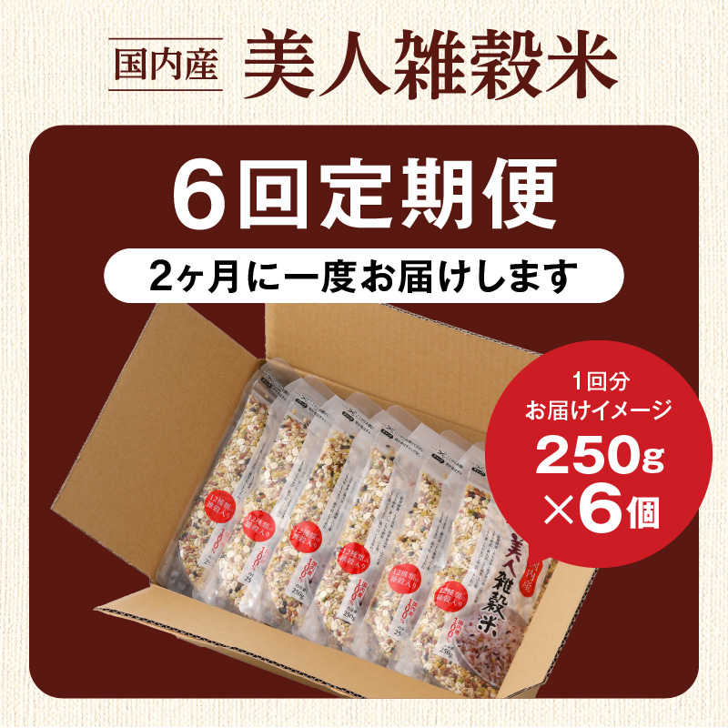 【隔月6回　定期便】国内産 美人雑穀米 250g×6個 1500g×6回_雑穀米 国内産 250g × 6個 お届け回数 6回 美人雑穀米 雑穀 12種 ブレンド 混ぜて炊くだけ 冷めても美味しい 胚芽押麦 もち玄米 発芽 玄米 もち黒米 ハト麦 もち麦 もちきび 黒大豆 もちあわ 簡単 主食 おにぎり 弁当 ふっくら もちもち_Tk028 定期便：（2ヶ月に一度）×6回