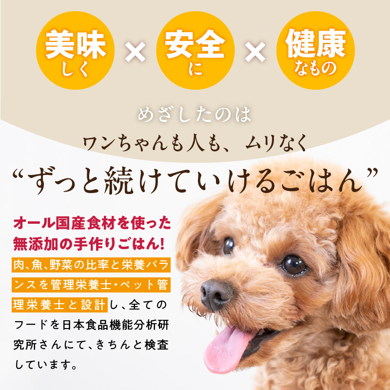 【定期便：隔月3回お届け！】ペットフード　無添加ドッグフード・ブルズごはんCUBEタイプ　300g×5袋（馬・豚・鹿・鶏・魚）_定期便 無添加 ドッグ フード ブルズごはん CUBE 300g × 5袋 隔月 計3回 馬肉 チーズ 豚肉 鹿肉 魚 野菜 鶏 ダシ 雑炊風 5種類 キューブタイプ 国産 手作り ごはん 混ぜるだけ おやつ ローテーション 成犬 シニア犬 愛犬 冷凍 福岡県 久留米市 送料無料_Tk040