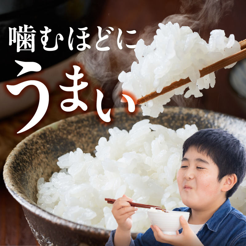 【定期便3回】【令和8年産 新米】福岡県産ブランド米元気つくし 白米 18kg×3回 _  元気つくし 18kg  お届け回数 3回 定期便 福岡県産 ブランド米 精米 新米 福岡生まれ 品種 香り豊か ふっくら 食感 ご飯 白ご飯 おにぎり 弁当 お米 食品 お取り寄せ 九州 久留米市産 福岡県 久留米市 送料無料 _Tk113-03 3回